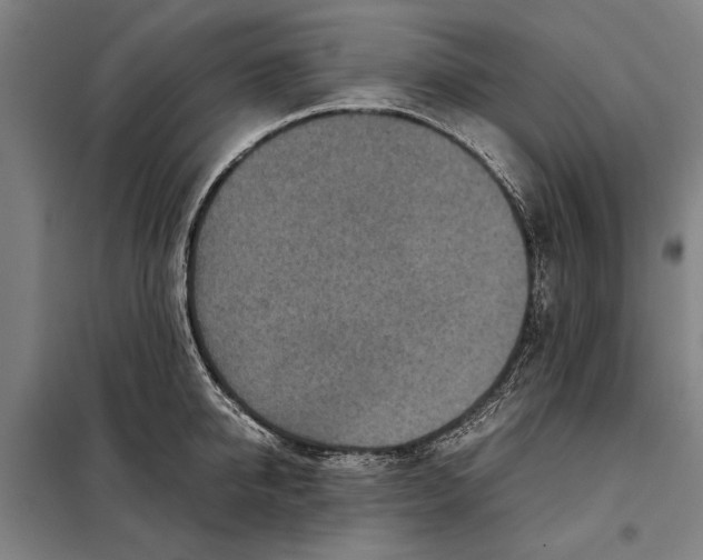 X0000097900950200804041434