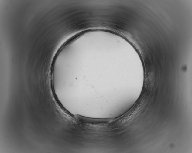 X0000097900951200804041434