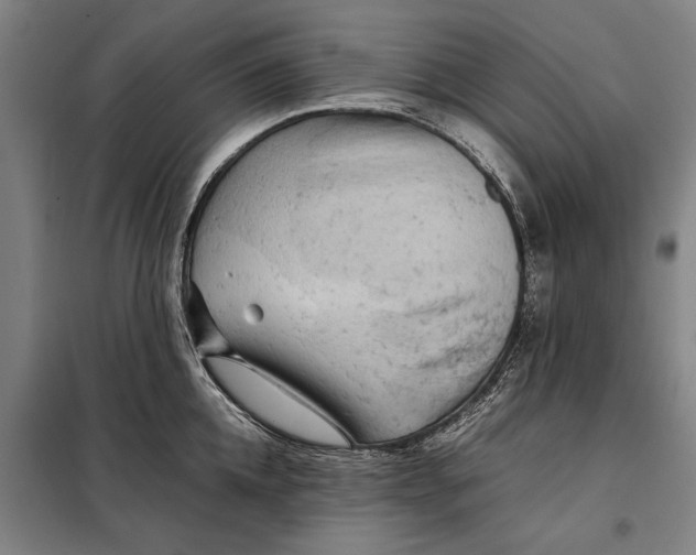 X0000097900952200804041434