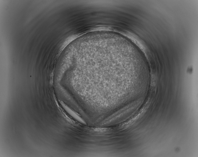 X0000097900953200804041434