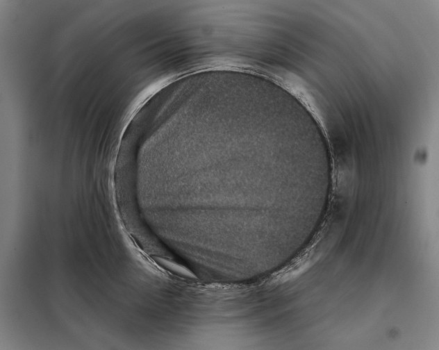 X0000097900954200804041434