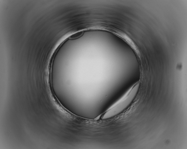 X0000097900955200804041434