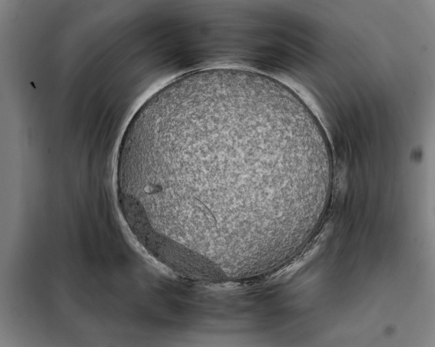 X0000097900957200804041434