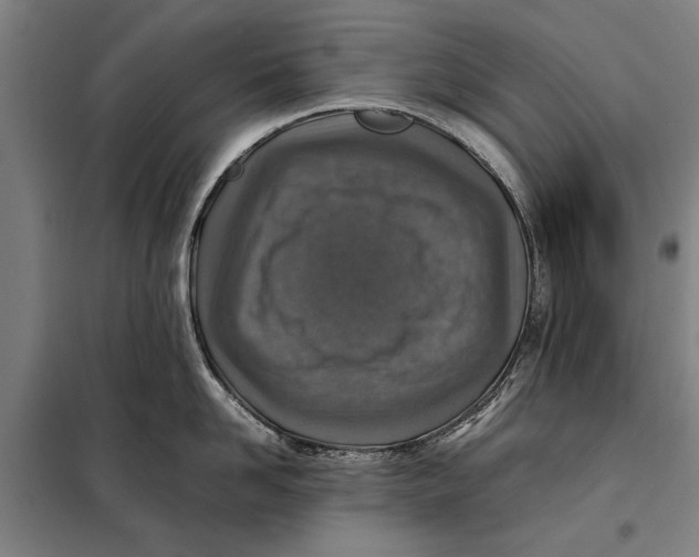 X0000097900958200804041434