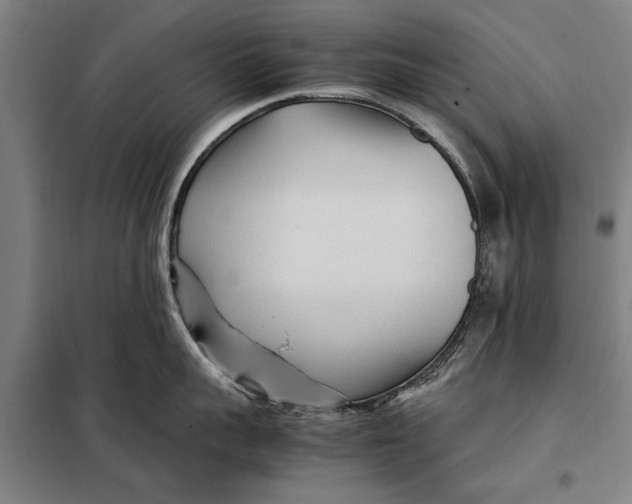 X0000097900959200804041434