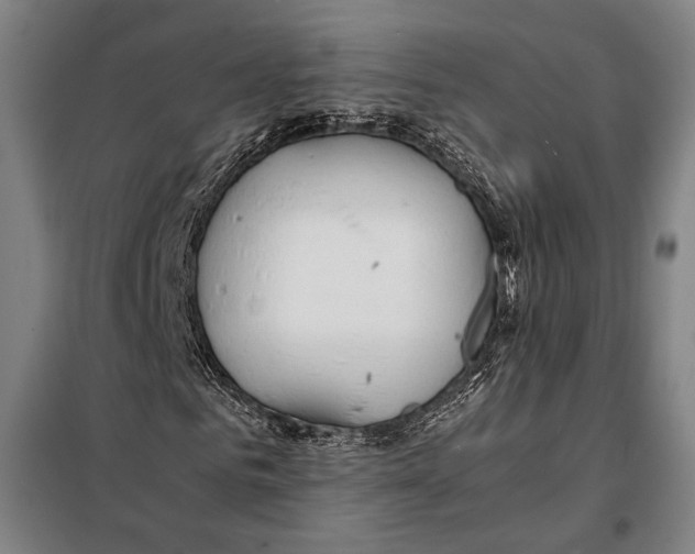 X0000097900961200804041434