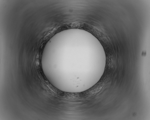 X0000097900962200804041434