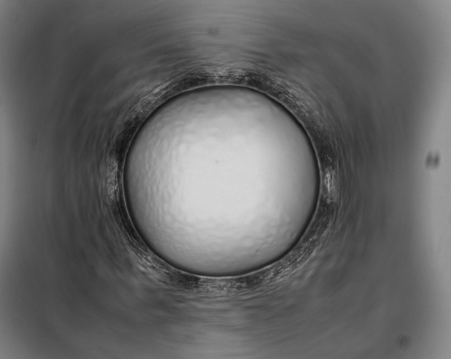 X0000097900963200804041434