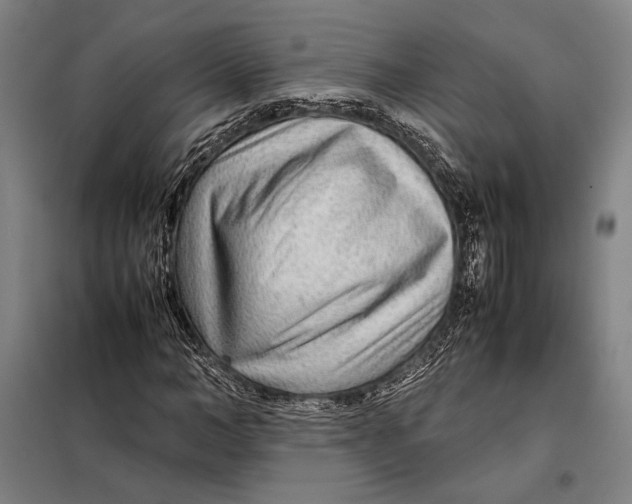 X0000097900966200804041433