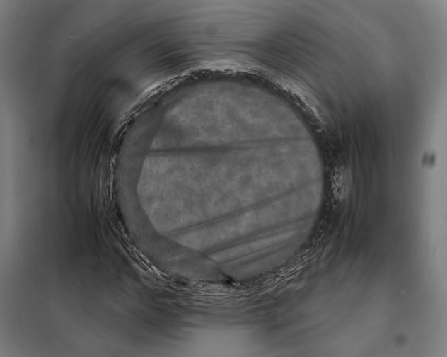 X0000097900968200804041433