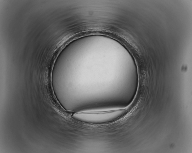 X0000097900969200804041433