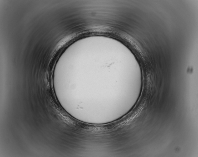 X0000097900970200804041433