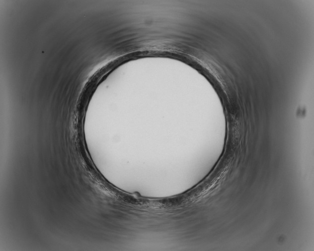 X0000097900971200804041433