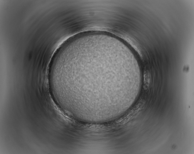 X0000097900972200804041433