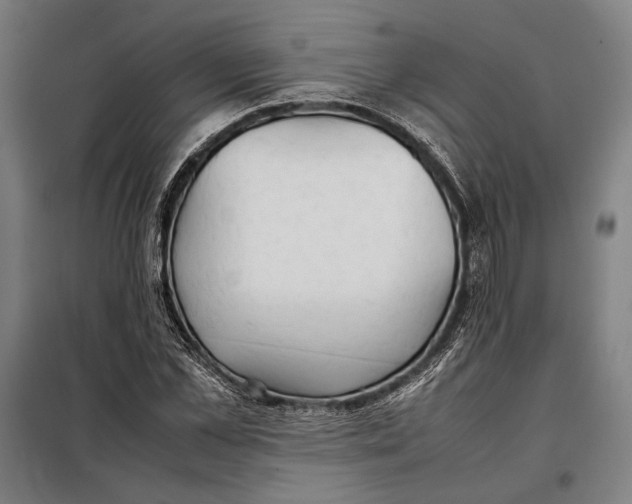 X0000097900973200804041433