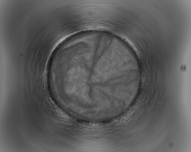 X0000097900975200804041433