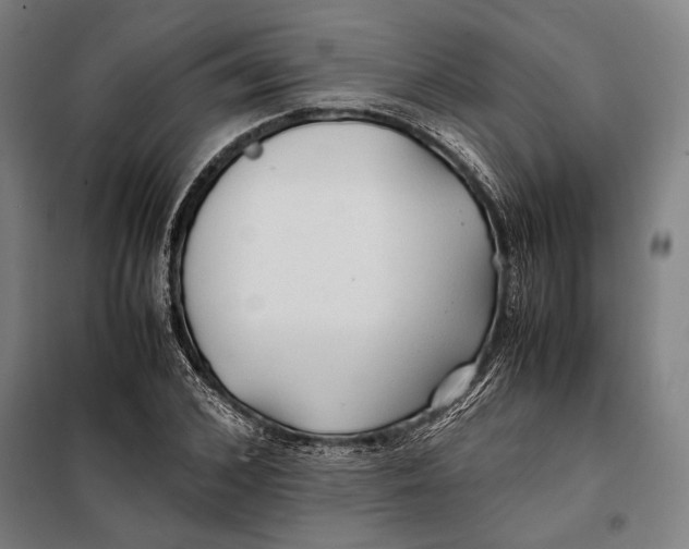 X0000097900976200804041433