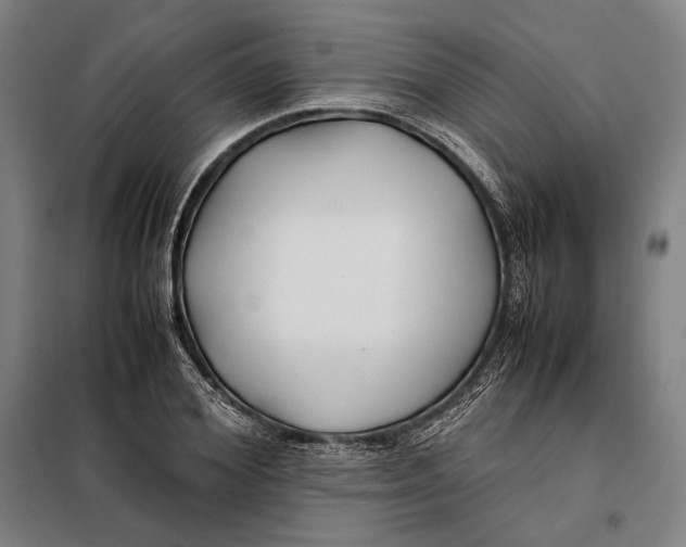 X0000097900980200804041433