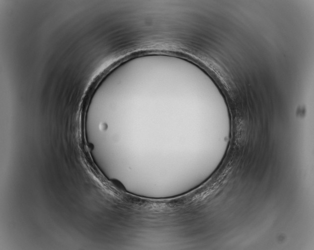 X0000097900982200804041433