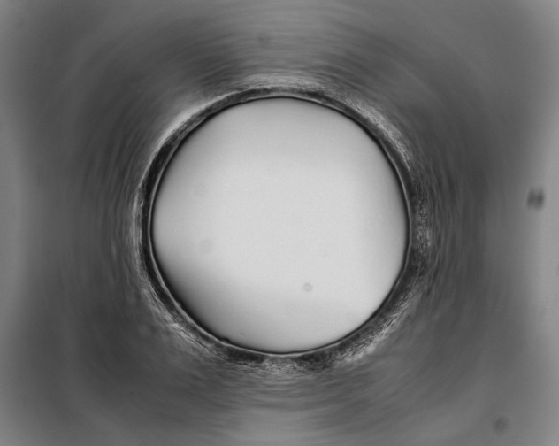 X0000097900983200804041433