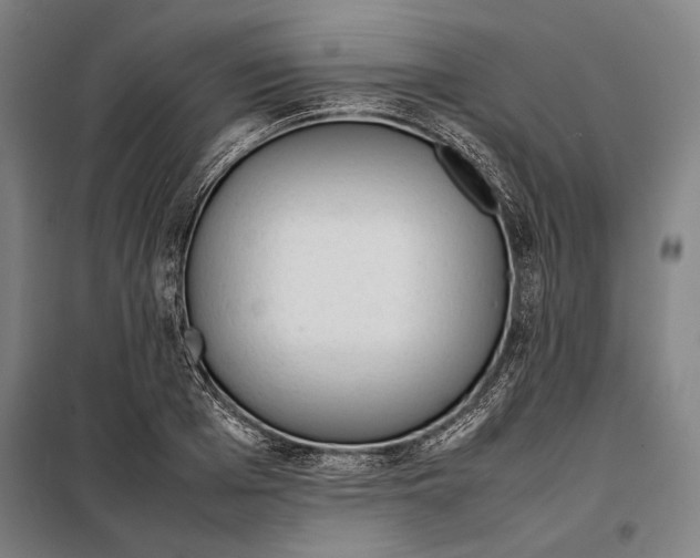 X0000097900985200804041433