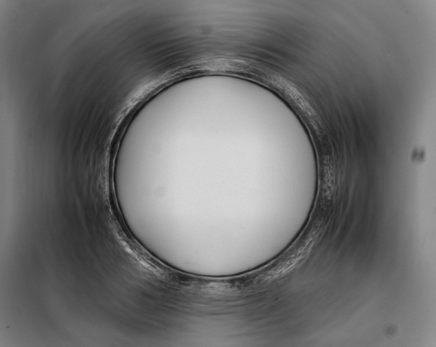 X0000097900986200804041433