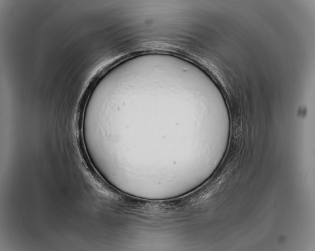 X0000097900987200804041433