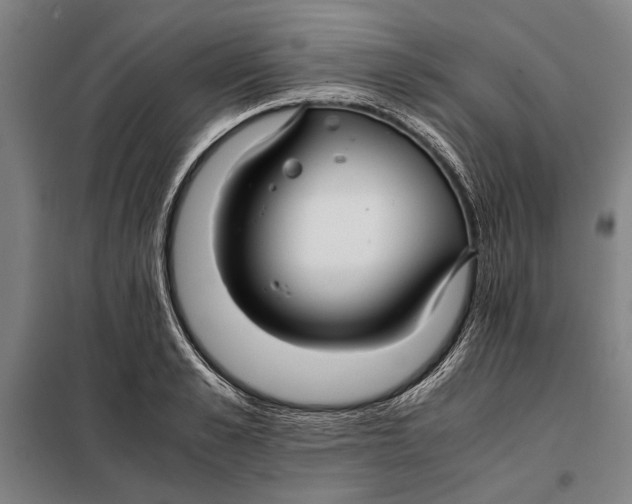 X0000097900989200804041433