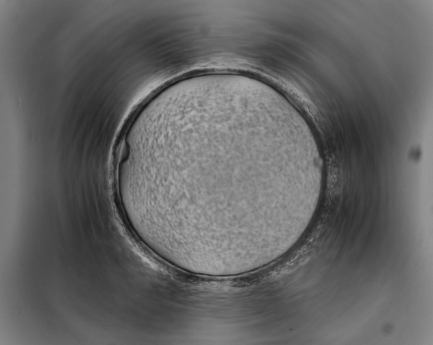 X0000097900990200804041433