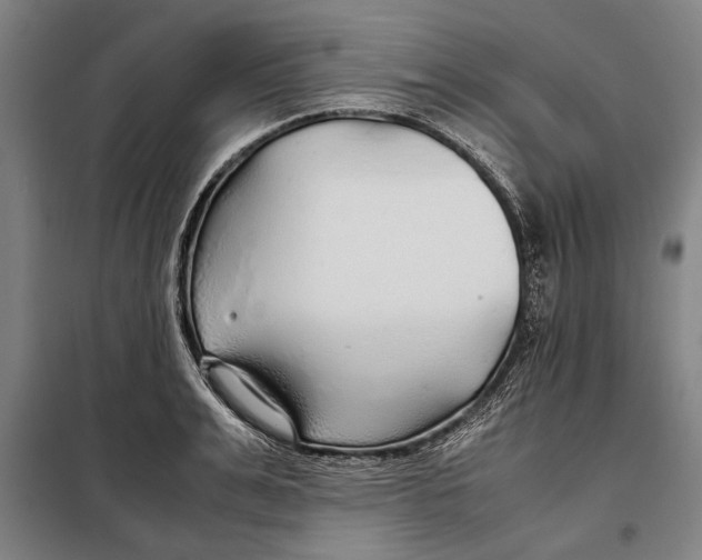 X0000097900991200804041433