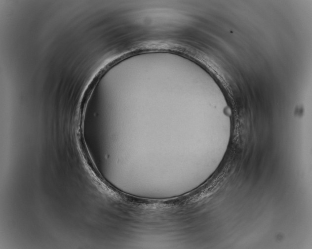 X0000097900992200804041433