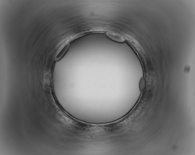 X0000097900993200804041433