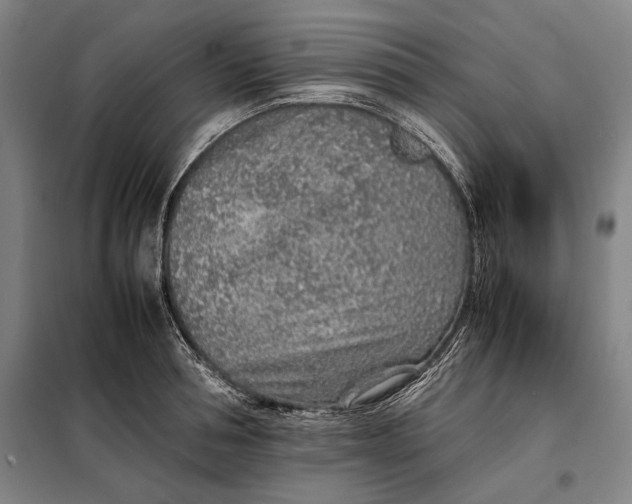 X0000097900994200804041433