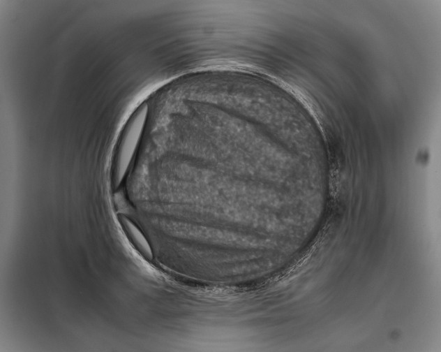 X0000097900995200804041433