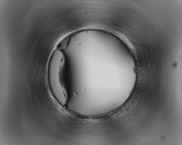 X0000097900996200804041433