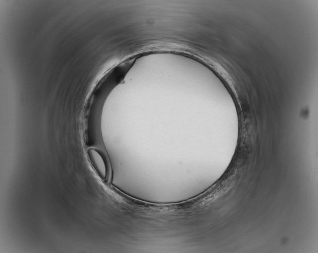 X0000097900997200804041433