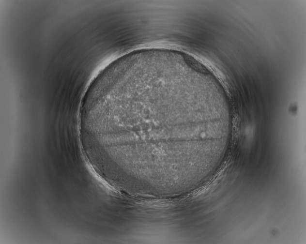 X0000097900998200804041433