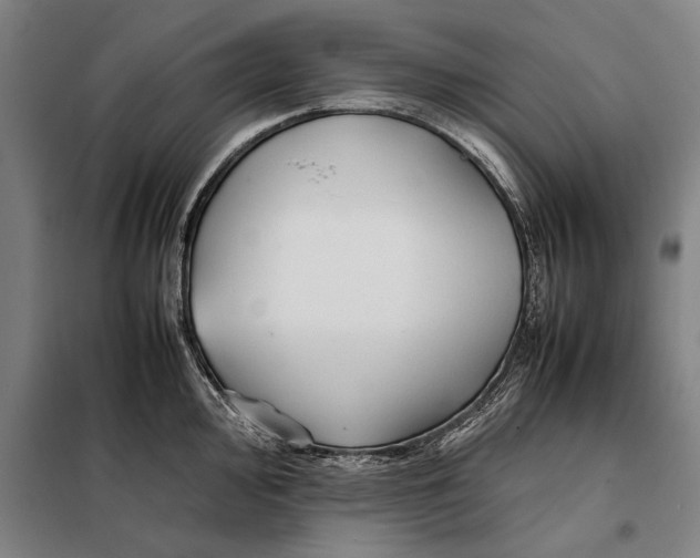 X0000097901000200804041433