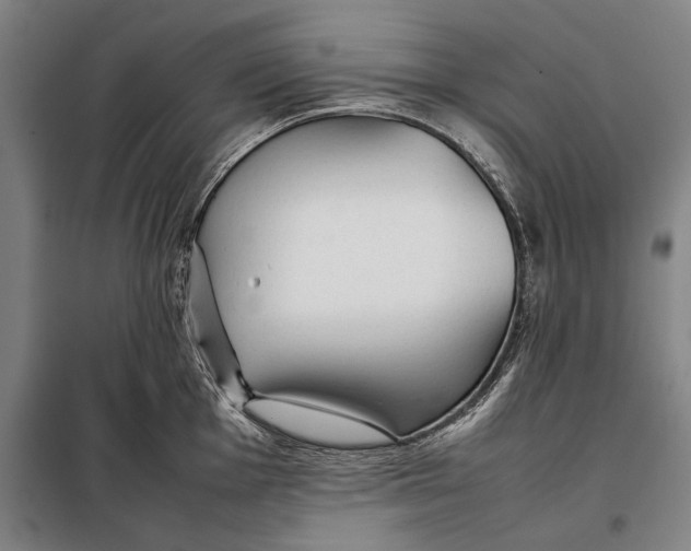 X0000097901001200804041433