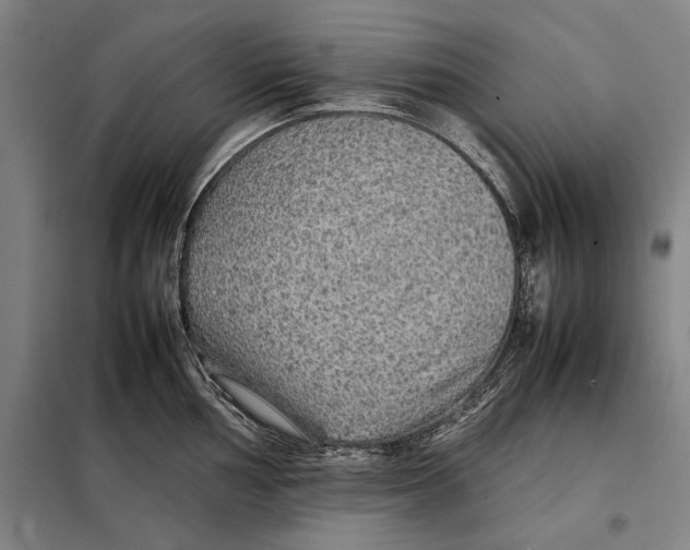 X0000097901002200804041433