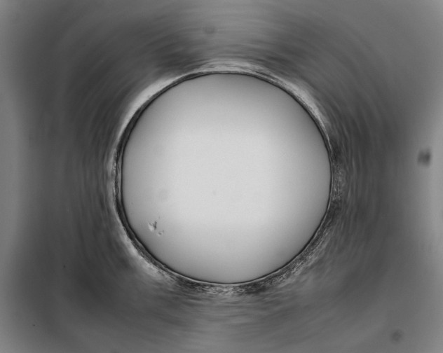 X0000097901003200804041433