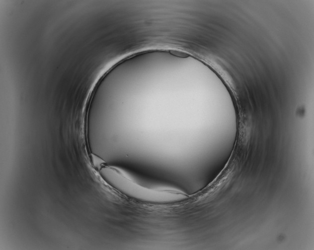 X0000097901004200804041433