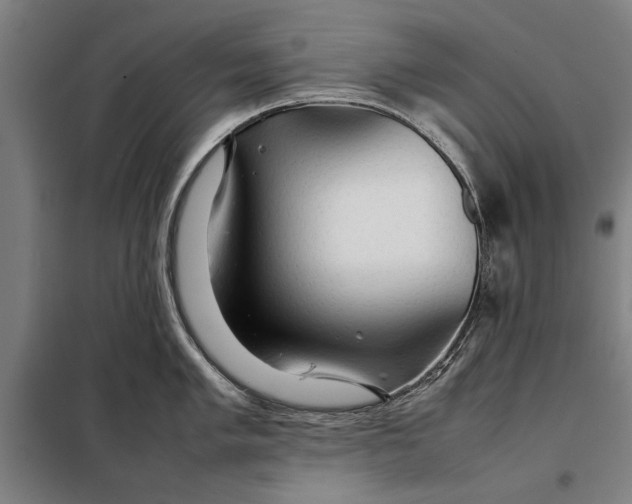 X0000097901005200804041433