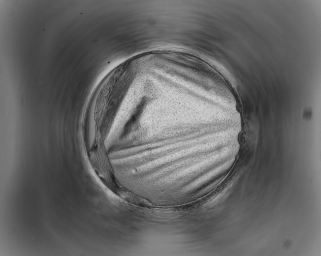 X0000097901007200804041433