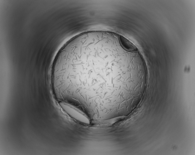 X0000097901008200804041433