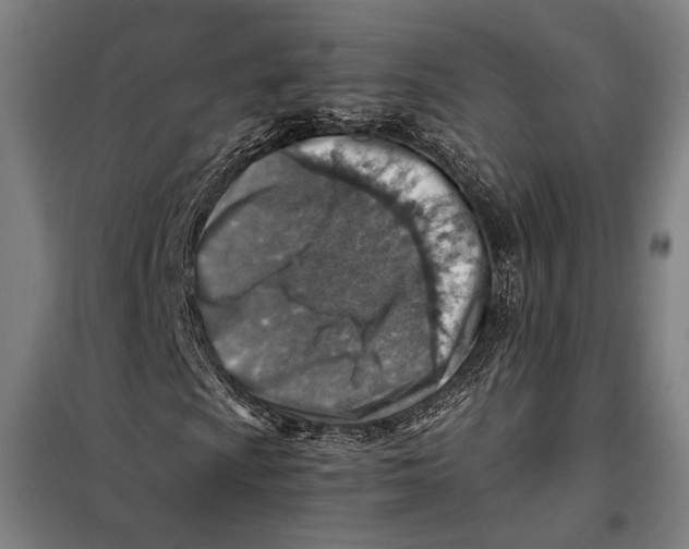 X0000097901009200804041432