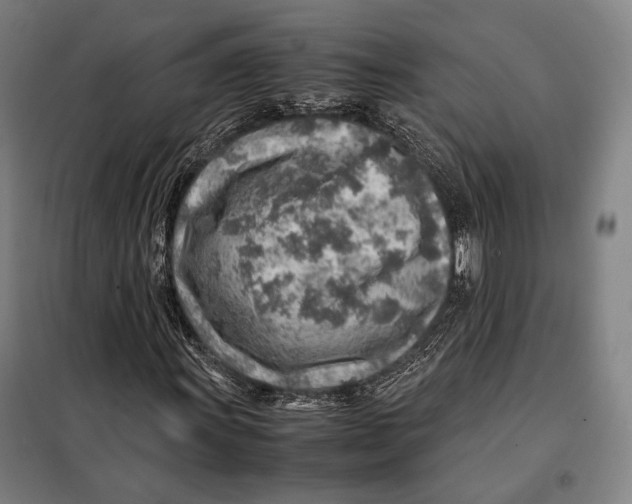 X0000097901011200804041432