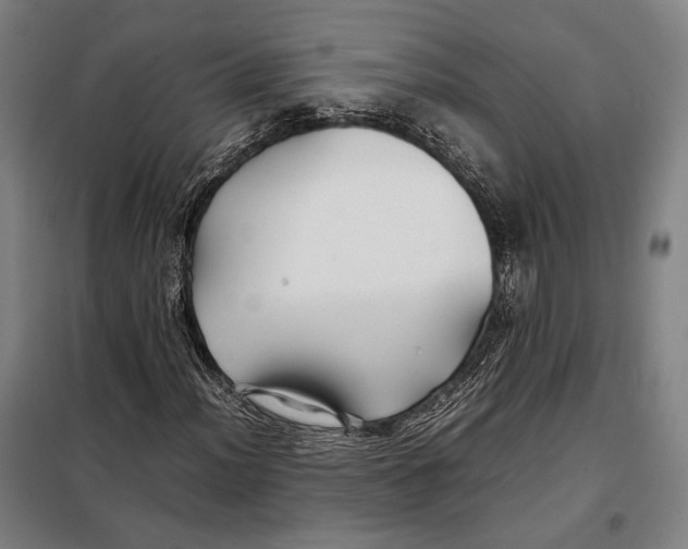 X0000097901012200804041432