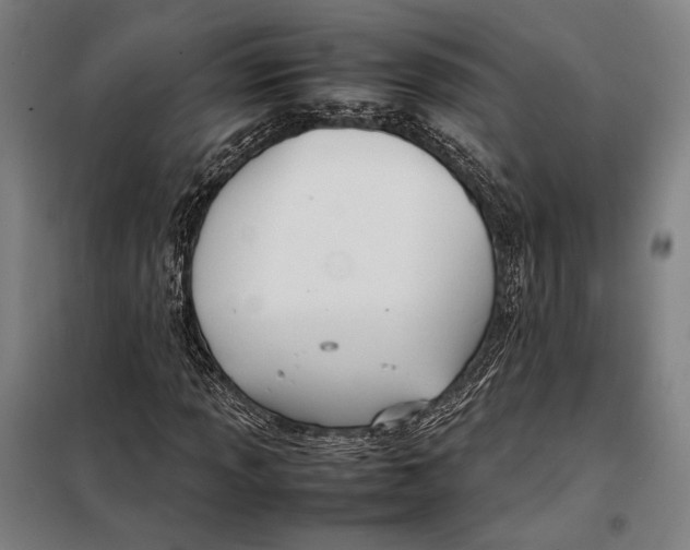 X0000097901013200804041432