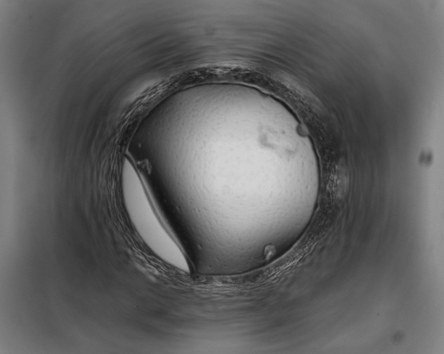 X0000097901014200804041432